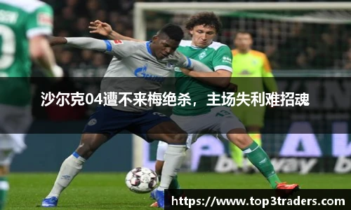 乐鱼电竞官网